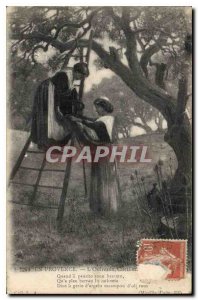 Old Postcard En Provence Oulivado the Cueillet