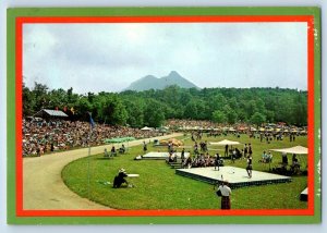 Linville North Carolina NC Postcard Highland Games Scottish Clan c1960 Vintage