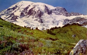 WA - Mt. Rainier from the Slopes of Alta Vista