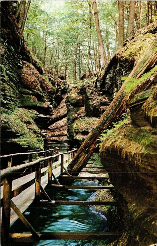 Witches Gultch Wisconsin Dells WI Stop Boat Trip Postcard Curteich UNP VTG 