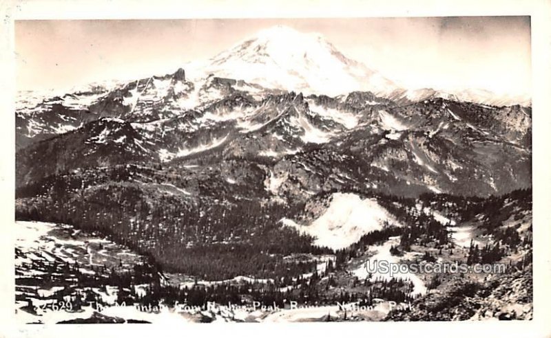 Mountain from National Peak - Rainier National Park, Washington