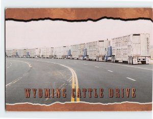 Postcard Wyoming Cattle Drive, Wyoming