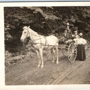 c1900s Lovely White Horse & Carriage RPPC Date Cute Women Men Real Photo PC A135