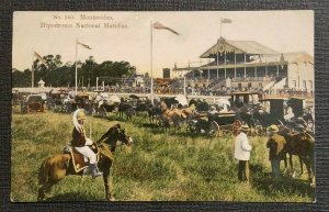 Vintage Colorized Photo Postcard Horses Montevideo Uruguay