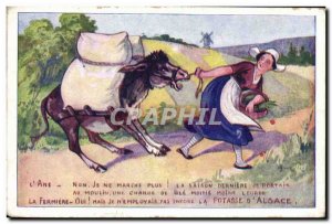 Postcard Old Advertisement of Potash & # 39Alsace Donkey Mule