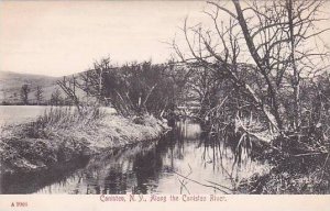 New York Canisteo Along The Canisteo River