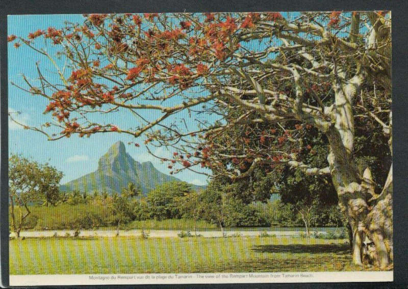 Mauritius Postcard - View of The Rempart Mountain From Tamarin Beach   T4172 