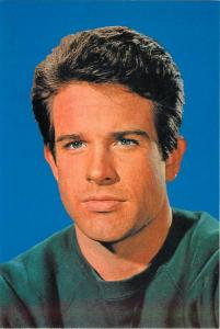 Warren Beatty Actor in the 1960s Modern Postcard #2