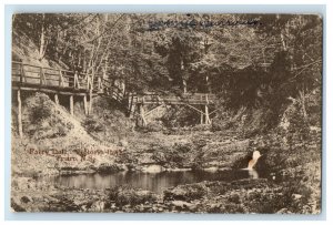 1912 Fairy Dell Victoria Park Truro Bridge River Nova Scotia Canada Postcard