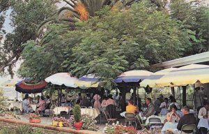 Diners At Kings Park Restaurant Perth Australia Vintage Postcard