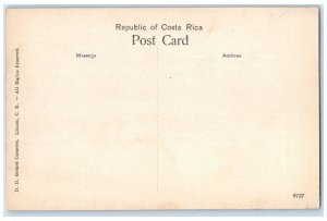 c1910 Series A No. 1 Cocoanut Palms Limon Costa Rica Antique Postcard