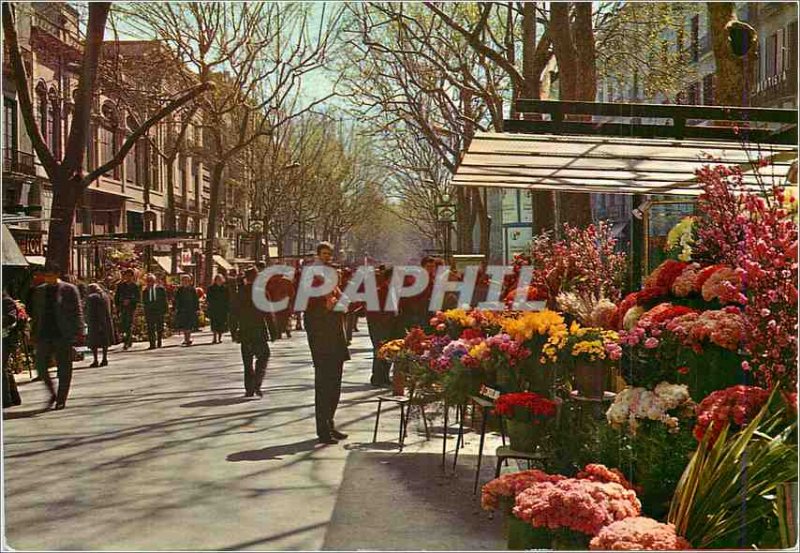 Postcard Modern Barcelona Flowers Rambla