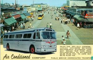 Sea Gull Express Bus Public Service Coordinated Transport Advert Postcard D82