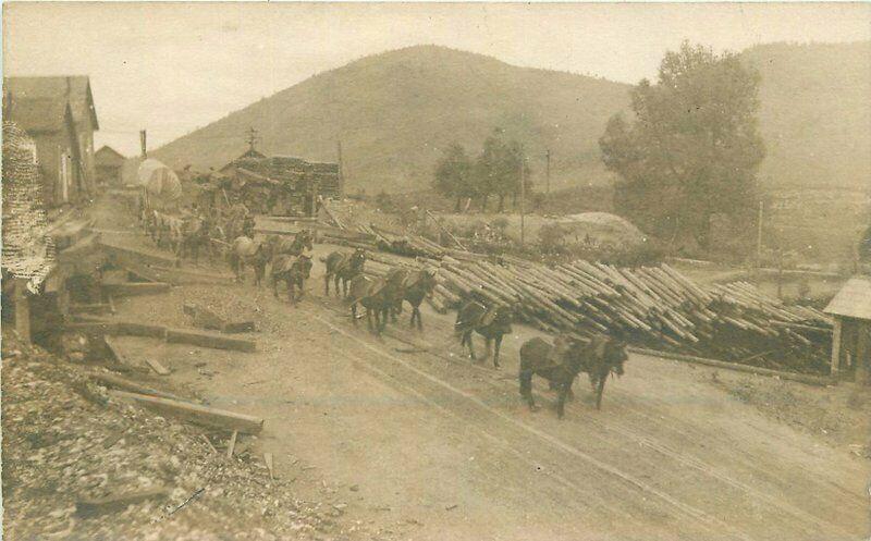 C-1910 Logging Lumber Yard Freight Team RPPC Photo Postcard 3500
