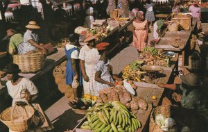 West Indies Tobago Scarboro Market Scene sk4093