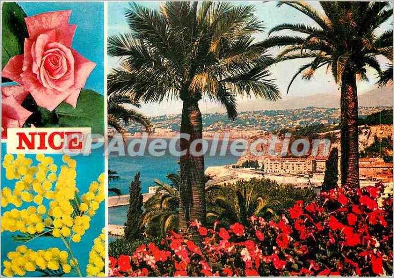 Postcard Modern Nice Cote d'Azur French Riviera General view of the Bay of An...