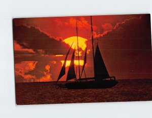 Postcard Beautiful Sunset Catching a Sailboat Passing by Hawaii USA