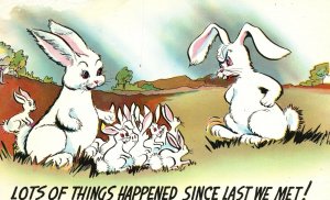 Vintage Postcard Little Bunnies With Mother & Father Meets Lots Of Things Happen 