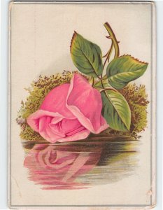 Postcard Greeting Card with Rose Embossed Art Print