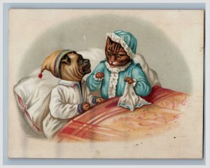 1870s-80s Victorian Trade Card Anthropomorphic Cat & Pug-Dog Couple #2 #7T