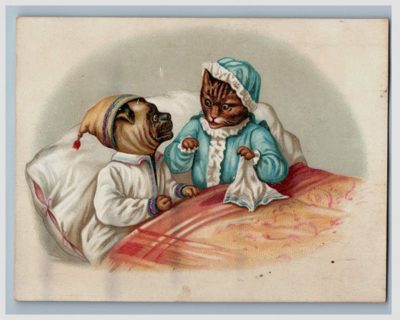 1870s-80s Victorian Trade Card Anthropomorphic Cat & Pug-Dog Couple #2 #7T
