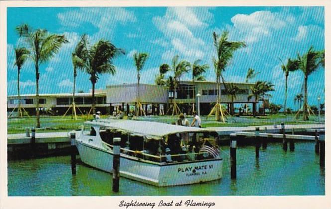 Florida Sightseeing Boat At Flamingo Everglades National Park