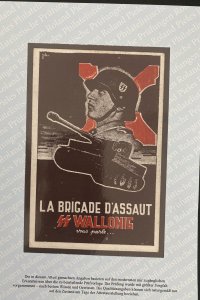 WW2 Belgium Waffen SS Wallonie Assault Brigade Recruit Postcard W/ Certificate