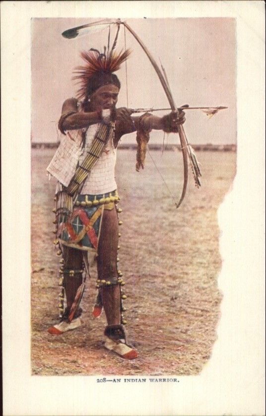 indian bow and arrows