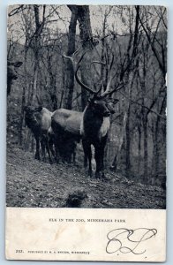 Minneapolis Minnesota Postcard Elk Zoo Minnehaha Park Exterior View 1905 Vintage