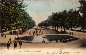 CPA MONTPELLIER - L'Esplanade (510867)