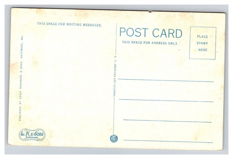 Vintage 1920s Postcard Monroe Hall William & Mary College Williamsburg Virginia