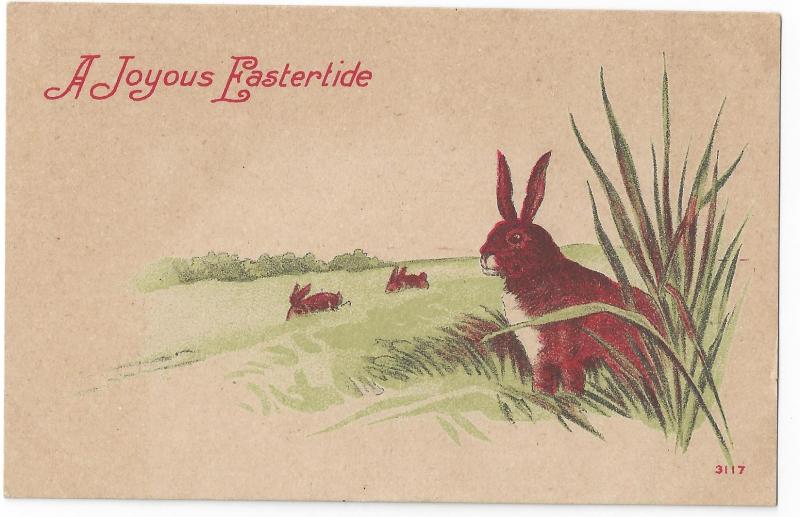 Vintage Easter Postcard Rabbits Tall Grass Lithograph c 1910