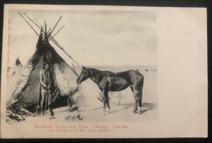 Mint Canada RPPC Postcard Native American Indian Calgary Blackfoot Brave & Pony 