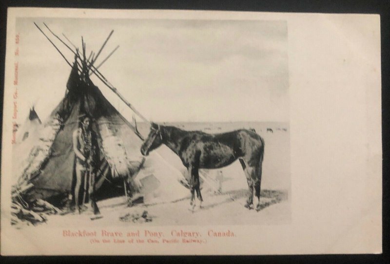 Mint Canada RPPC Postcard Native American Indian Calgary Blackfoot Brave & Pony 