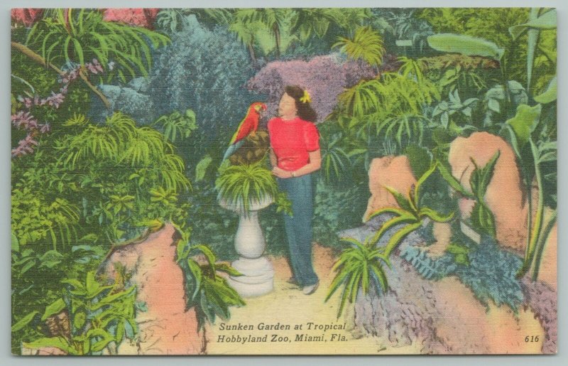 Miami Florida~Tropical Hobbyland Zoo~Sunken Gardens~Parrot~Vintage Postcard