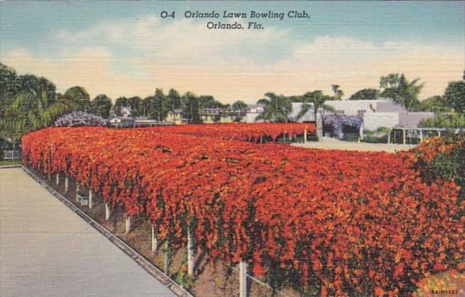 Florida Orlando The Orlando Lawn Bowling Club Surrounded By Hedge Of Flame Vi...