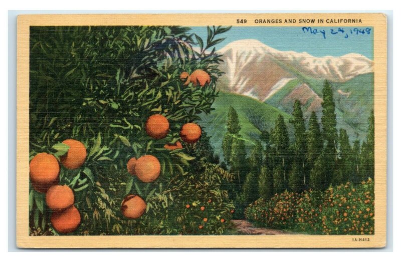 Postcard Oranges and Snow in California linen 1948 C75