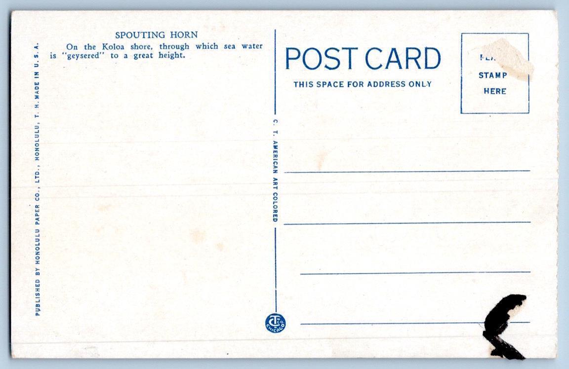 1920'S Spouting Horn Koloa Shore Hawaii Territory Honolulu Paper CO Postcard United States
