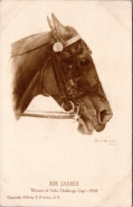 Postcard Horse racing - Sir James Winner of Nala Challenge Cup 1910