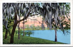 Postcard FL Oaks   Spanish Moss William Franklin Atwood This is Florida poem