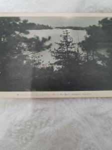 Antique postcard Moonlight through the Pines, Point Au Baril, Ontario, Canada
