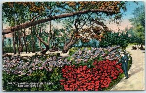 Postcard - The Sycamores, Sycamore Grove, Los Angeles, California