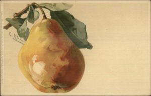 C. Klein Fruit Still Life Pear on Branch Meissner & Buch Lithograph Postcard