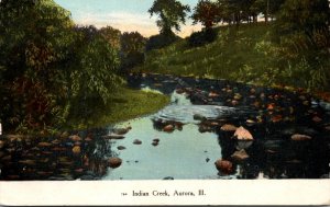 Illinois Aurora Scene On Indian Creek 1909