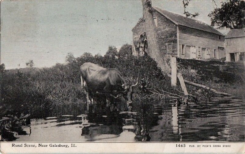 Postcard Rural Scene Near Galesburg IL