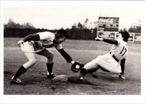 Reproduction ALL AMERICAN GIRLS PROFESSIONAL BASEBALL LEAGUE Women 4X6 Postcard