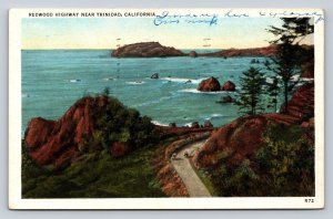 c1941 Redwood Highway Near Trinidad California Vintage Linen Postcard 1674