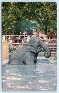 LINCOLN PARK ZOO, Chicago Illinois ~ ELEPHANT BATHING ca 1910s  Postcard
