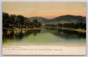 View on the Allegheny River From Suspension Bridge Warren PA Postcard X29