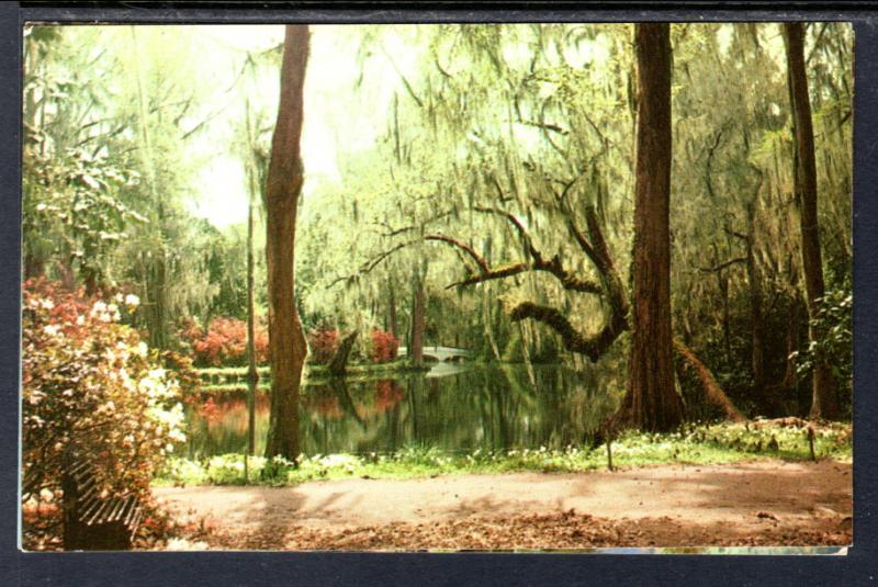 Magnolia Gardens,Near Charleston,SC BIN